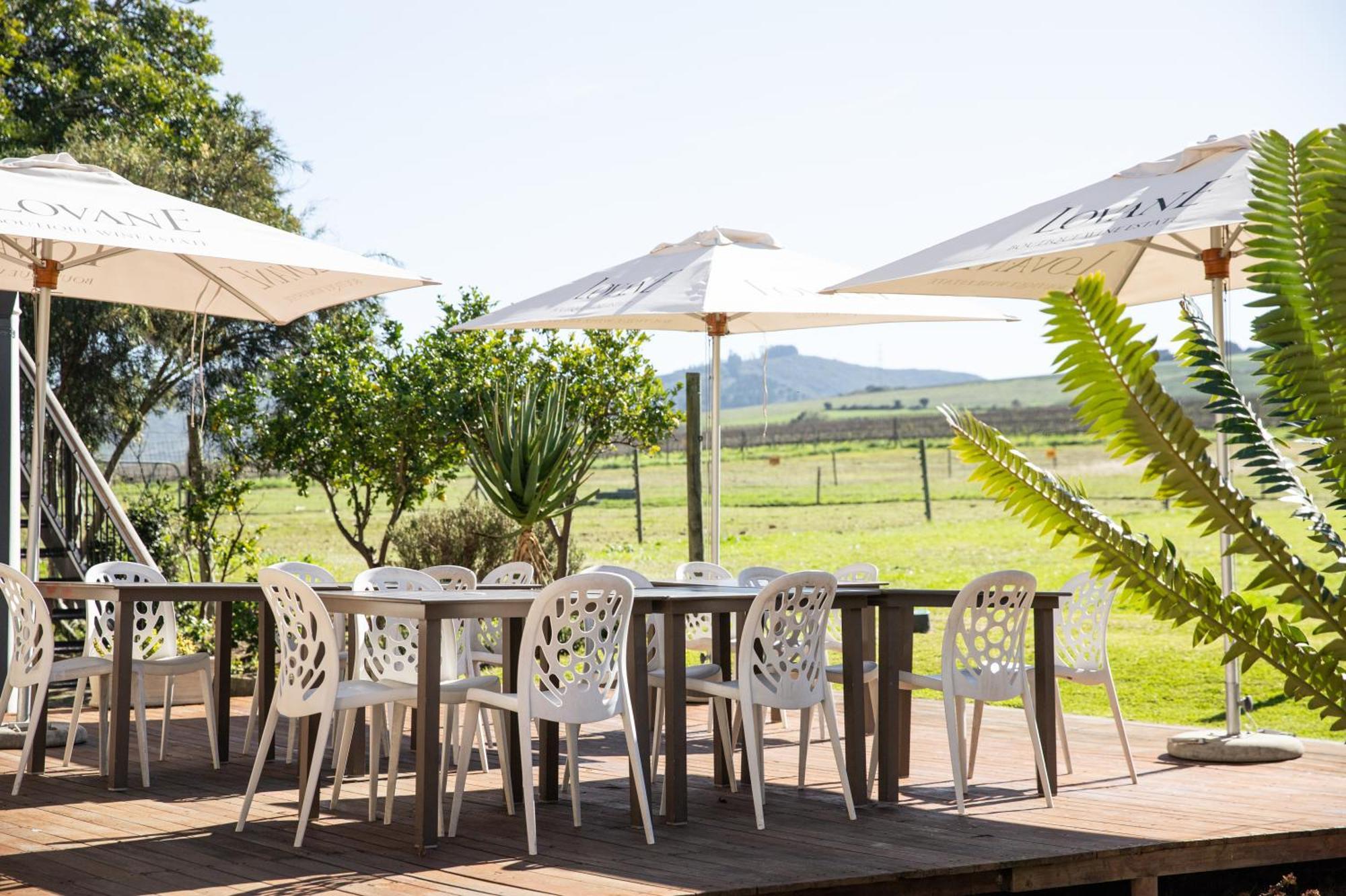 Lovane Boutique Wine Estate And Guesthouse Stellenbosch Exteriér fotografie